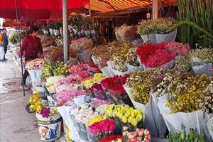 Hải Phòng tổ chức 18 điểm Chợ hoa Xuân năm 2022