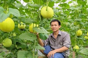 Quỹ hỗ trợ HTX Bắc Ninh giúp thành viên ổn định, làm giàu	
