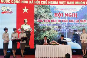 Bamboo Airways ký thoả thuận hợp tác xúc tiến du lịch toàn diện với tỉnh Gia Lai