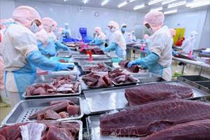 Xuất khẩu thủy sản sang Nga hồi phục, cá ngừ, cá cơm tăng mạnh