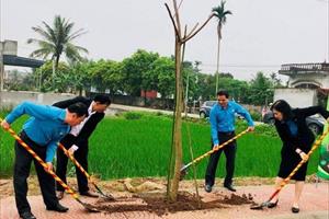 Hải Phòng sẽ trồng gần 1.500 cây vào dịp Tết Trồng cây Xuân Nhâm Dần