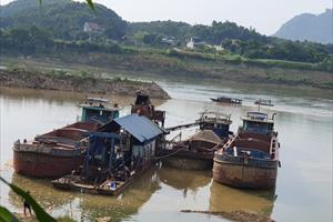 Khai thác trộm cát trên sông Lô đoạn qua Tuyên Quang: Chính quyền bất lực hay thờ ơ?