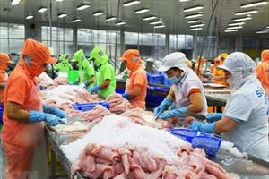 Việt Nam xuất siêu 3,96 tỷ USD trong 8 tháng