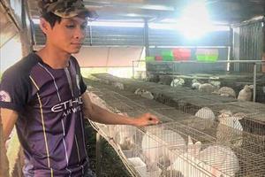 Nông hội chăn nuôi thỏ xã Nam Yang: Mô hình liên kết cần nhân rộng