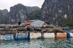 333/440 chủ cơ sở ký cam kết tháo dỡ cơ sở nuôi trồng thủy sản tại huyện Cát Hải
