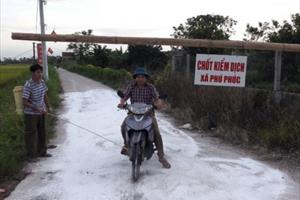 Hà Nam: Tái xuất hiện dịch tả lợn châu Phi tại xã Phú Phúc