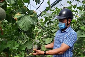 Nguồn vốn cho vay lĩnh vực nông nghiệp, nông thôn ở Hà Tĩnh phát huy hiệu quả