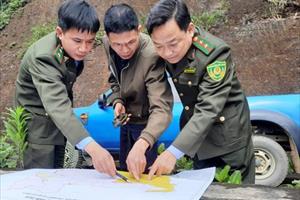 Hà Tĩnh: Tăng cường tuần tra, bảo vệ rừng trước, trong và sau Tết 