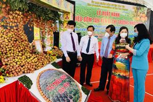 Năm 2025, diện tích cây ăn quả của Bắc Giang đạt khoảng 52.000 ha