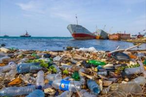 Môi trường biển nước ta đang ở mức ô nhiễm đáng báo động