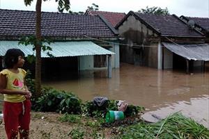 Phú Yên: Khẩn trương dọn dẹp, khắc phục thiệt hại do bão số 12 gây ra