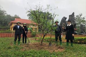 Sở Nông nghiệp và PTNT Tuyên Quang phát động Tết trồng cây tại Di tích Quốc gia Bộ Canh nông