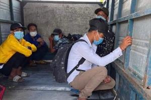5 người trốn trên thùng xe chở lợn vượt chốt kiểm soát y tế vào tỉnh Quảng Ninh 