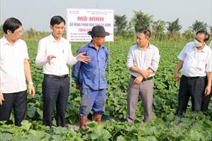 Thái Bình thúc đẩy phong trào làm VAC và phát triển cơ giới hóa nông nghiệp 