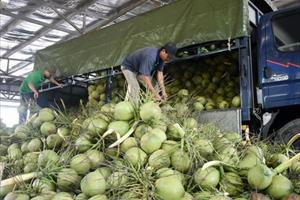 Xuất khẩu rau quả sang Trung Quốc: Nguy cơ 'tắc' đến hết năm