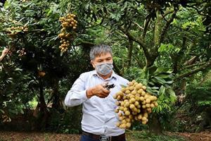 Để nông sản Việt không “vô danh”