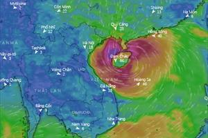 Hà Nam chủ động ứng phó với mưa lớn do ảnh hưởng của bão số 8