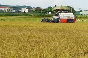 Các tỉnh miền Trung đẩy mạnh chính sách tăng trưởng nông nghiệp