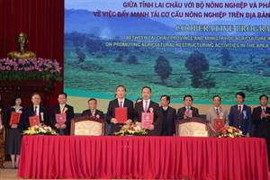 Thêm 1.200 tỷ đồng đầu tư phát triển nông nghiệp Lai Châu