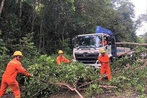 PC Đắk Nông: Quyết liệt trong công tác giảm thiểu vi phạm an toàn hành lang lưới điện cao áp
