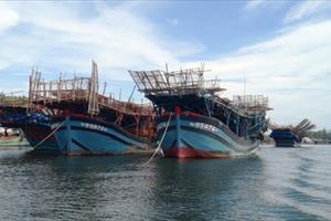 Ba ngư dân Quảng Ngãi tử vong chưa rõ nguyên nhân