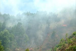 Liên tục xảy ra cháy rừng trên địa bàn các tỉnh miền Trung 