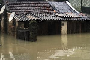 Nghệ An: Thiệt hại nặng nề do mưa, lũ