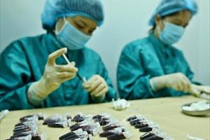 Việt Nam sẽ thử nghiệm giai đoạn 1 vắc xin COVID-19 trên những người tự nguyện hoàn toàn