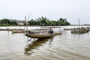 Nuôi cá trong “lồng thuyền”: Giải pháp nuôi an toàn mùa mưa lũ