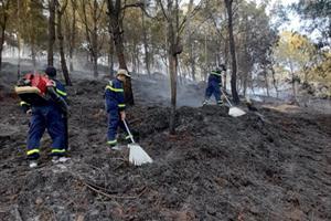 Báo động tình trạng cháy rừng tại nhiều địa phương