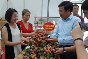 Bắc Giang hỗ trợ phát triển sản xuất cây ăn quả bền vững