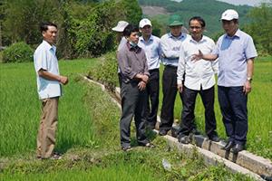 TT - Huế: Đảm bảo nguồn nước tưới cho các diện tích lúa đã gieo trồng