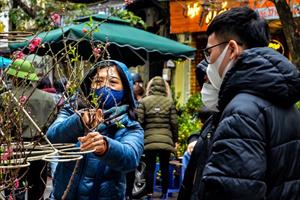 Chợ hoa Hàng Lược “hút” khách ngày cuối năm