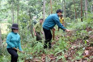 Lợi ích từ chính sách chi trả dịch vụ môi trường rừng