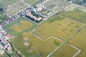Bắc Ninh: Nhiều sàn môi giới rao bán rầm rộ Dự án Khu nhà ở thôn Đông Yên khi vẫn là đất ruộng