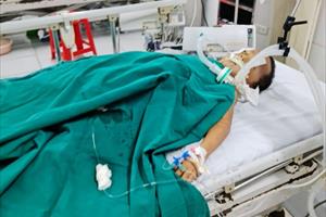 Lào Cai: 17 trẻ nhập viện, 1 trẻ tử vong vì ăn phải quả độc