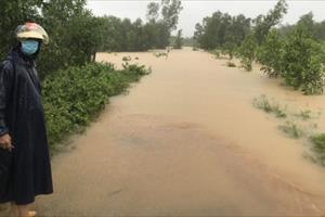 Nhiều tuyến đường ở Quảng Ngãi, Quảng Nam bị ngập sâu 