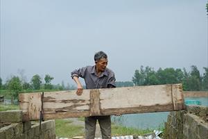 Người chăn nuôi Hà Tĩnh khôi phục sản xuất sau lũ và ngập lụt