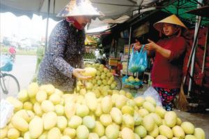 Giá bán lẻ nhiều loại trái cây ở Cần Thơ tăng mạnh