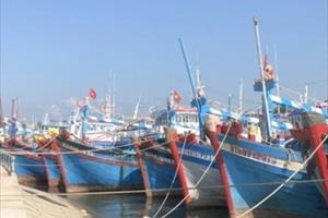 1.808 tàu cá tại Bình Thuận đã lắp đặt thiết bị giám sát hành trình