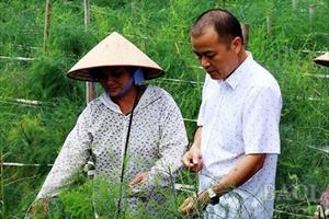Tái cơ cấu ngành nông nghiệp ở Lạng Sơn chuyển biến mạnh mẽ