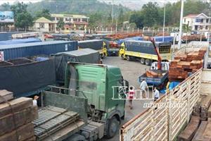 Đề nghị làm rõ trách nhiệm trong vụ “buôn lậu” 535m3 gỗ trắc ở cảng Đà Nẵng