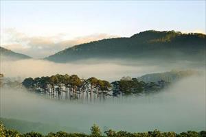 Quỹ bảo vệ và phát triển rừng tỉnh Lâm Đồng: Lợi ích không của riêng ai