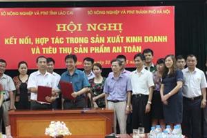 Hợp tác xúc tiến thương mại sản phẩm an toàn giữa Hà Nội với ba tỉnh miền núi phía Bắc: Lợi ích cho các bên
