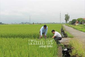 PCT UBND huyện Lương Tài Phạm Thanh Hải: Hoàn thiện và giữ vững các tiêu chí nông thôn mới