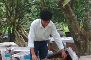 Bắc Giang: Tăng thu nhập từ nuôi ong lấy mật