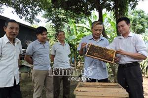 Hoạt động mới của HLV Quảng Bình: Quảng bá, tiêu thụ nông sản sạch