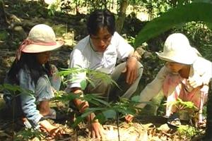 Quảng Nam: Phát triển kinh tế vườn, trang trại theo hướng bền vững