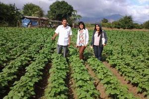 Ninh Thuận: Chuyển đổi cơ cấu cây trồng thích ứng với biến đổi khí hậu