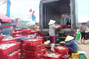 Nghệ An: Cần giải pháp đủ mạnh để nâng cao giá trị xuất khẩu thủy sản